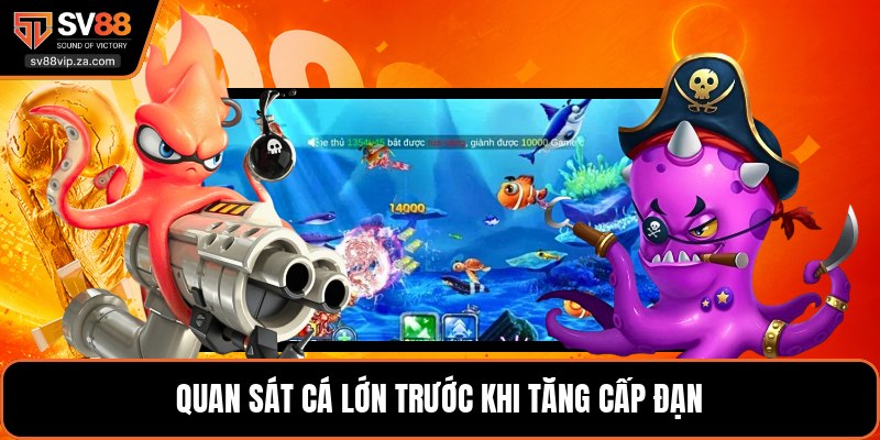 Quan sát cá lớn trước khi tăng cấp đạn